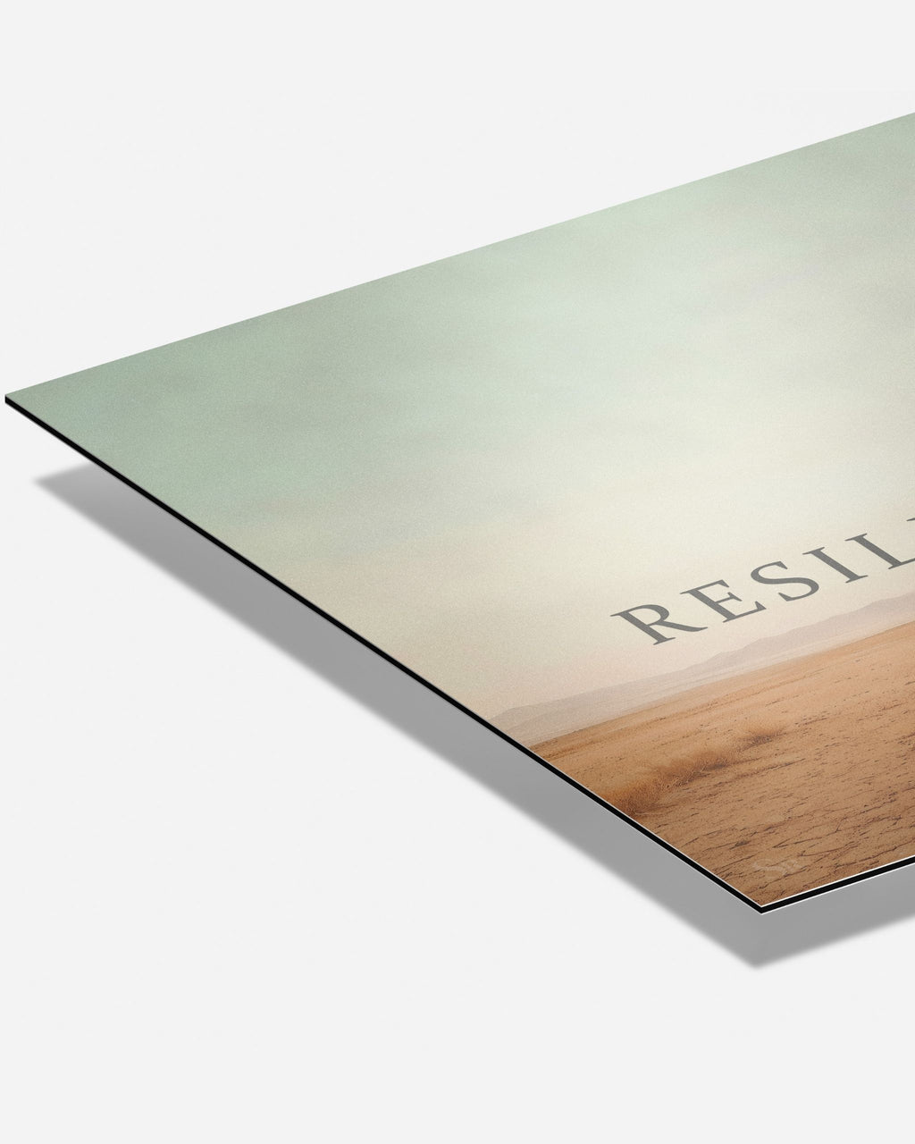 Statement Wandbild auf Alu-Dibond mit dem Statement "Resilience" präsentiert im Detail.